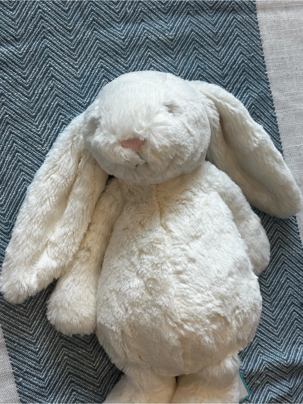 Jellycat Bashful Cream Plush Bunny with Turquoise Carry Bag NWT